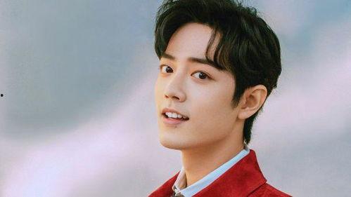 明星娱乐圈爆料肖战事件,娱乐圈爆料背后的真相与反思