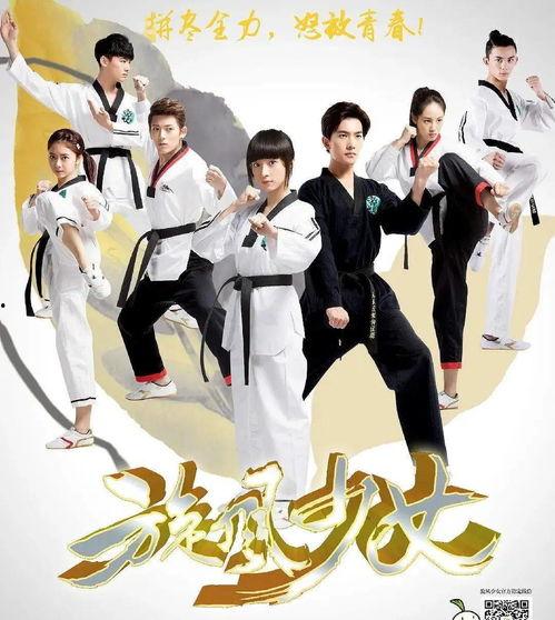 旋风少女在线观看全集,青春热血，舞动青春梦想